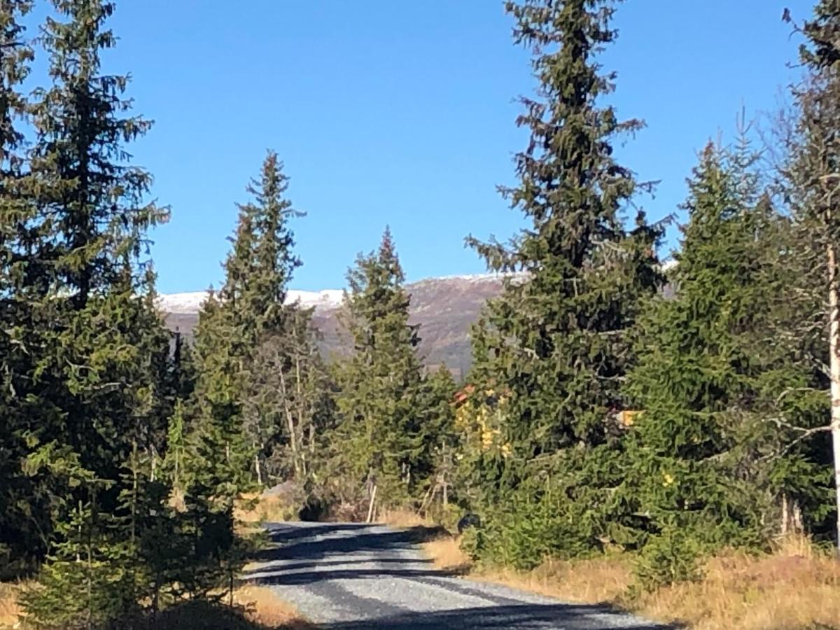 Sykkelhytte Ved Slatten I Synnfjellet Nord Torpa エクステリア 写真